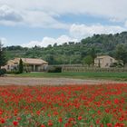 Un dimanche à la Campagne ....