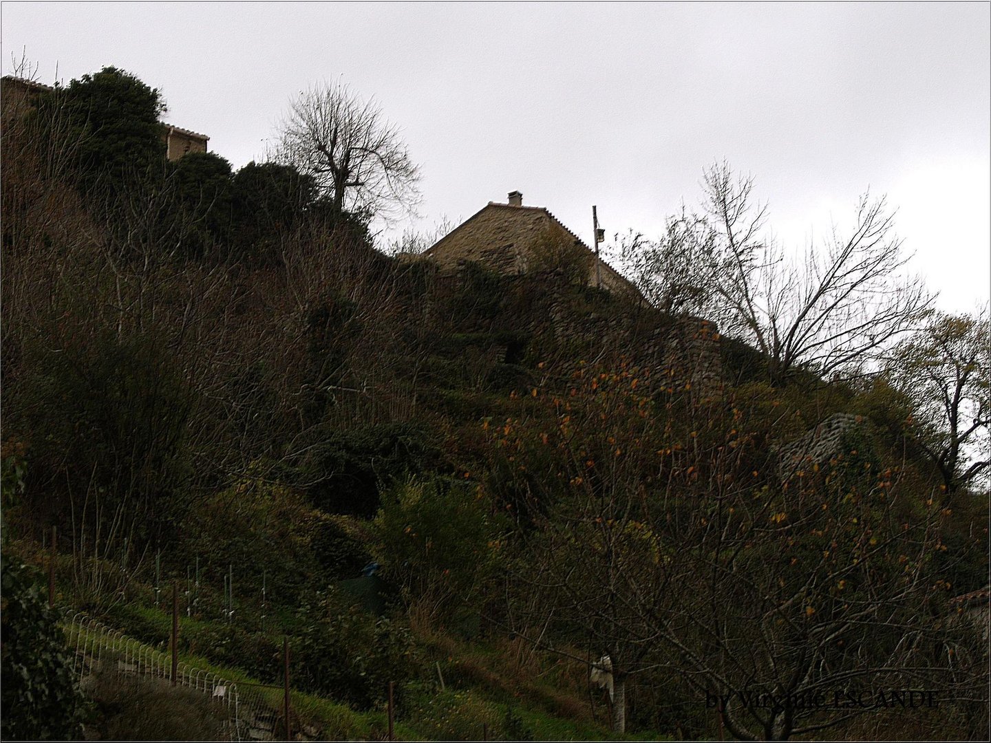 Un dimanche à la campagne