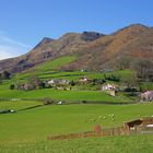 Un dimanche à la Campagne