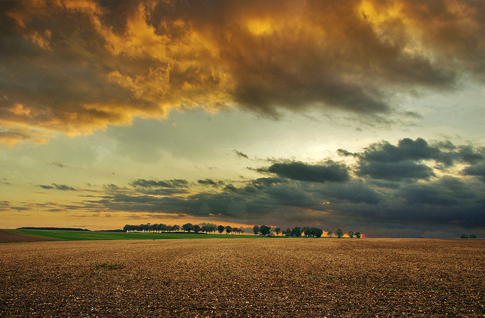 Un dimanche à la campagne.