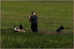 un dimanche à la campagne .....