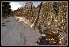 Un dimanche au bord de l'eau