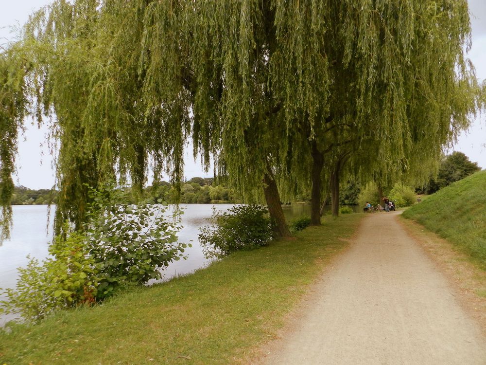 un dimanche au bord de l'eau ...