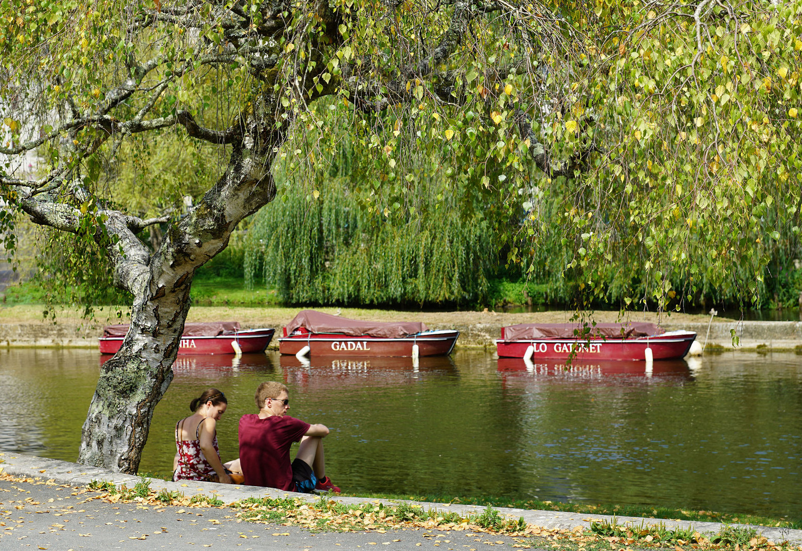 Un dimanche au bord de l'eau ....