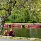 Un dimanche au bord de l'eau ....