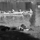 Un Dimanche au bord de l'eau ...