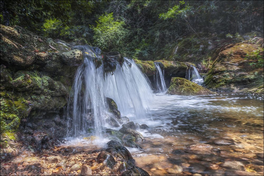 Un Dimanche au bord de l'eau 