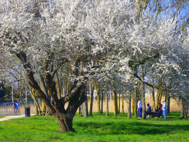 un dimanche de printemps