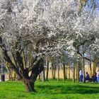 un dimanche de printemps