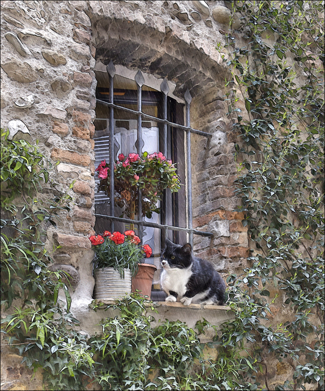 Un Dimanche sous la pluie 