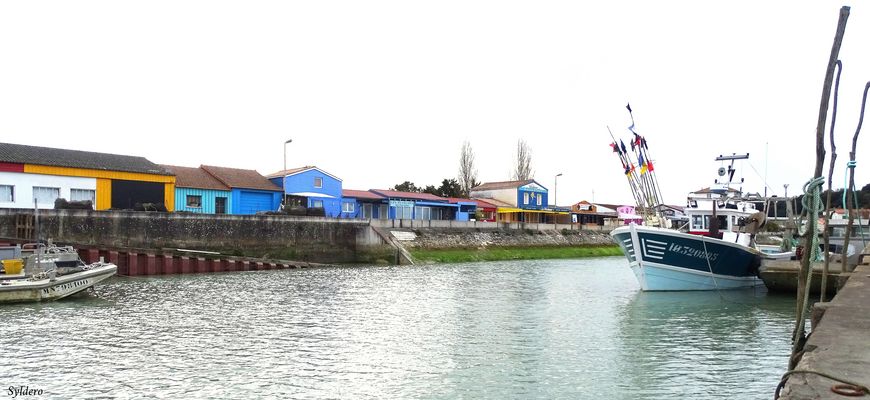 Un dimanche sur le port de Saint-Trojan