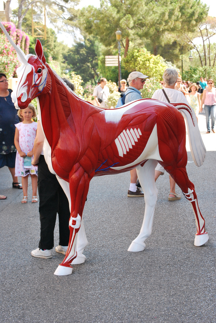 Un drôle de cheval !!!!!