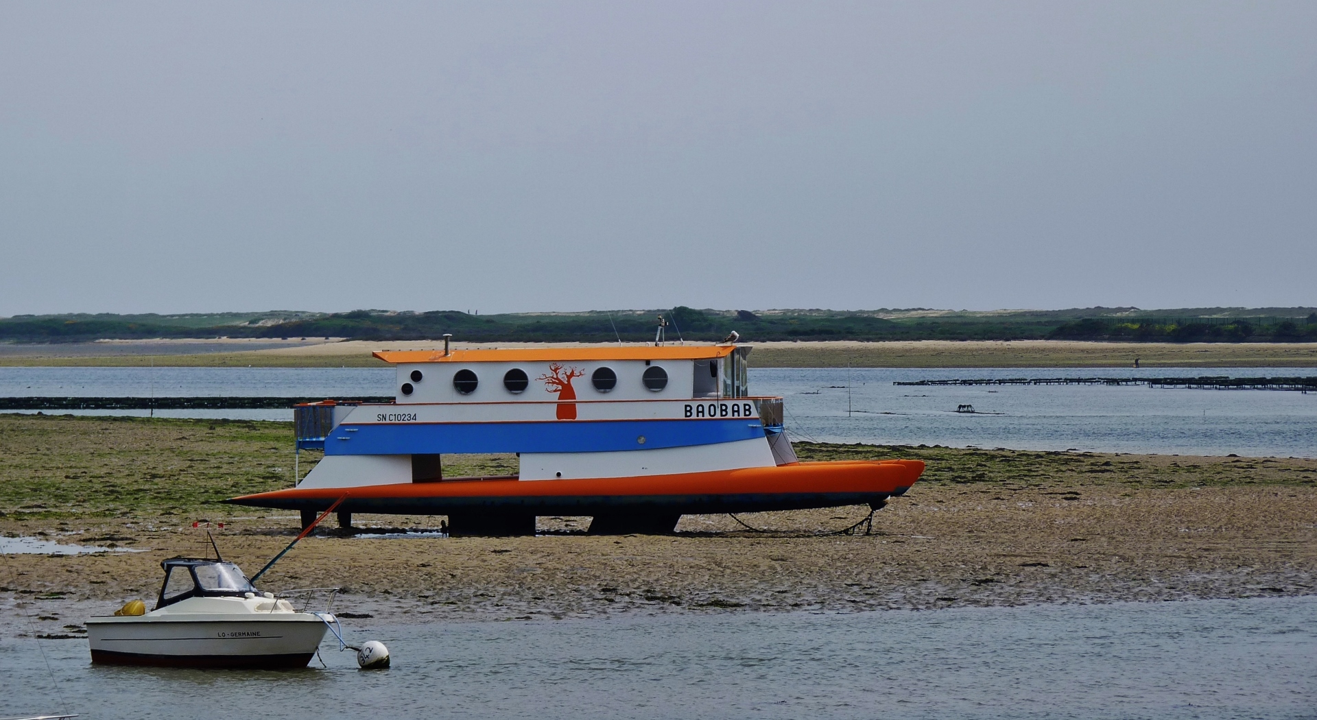 Un drôle de moyen de se loger sur l'eau