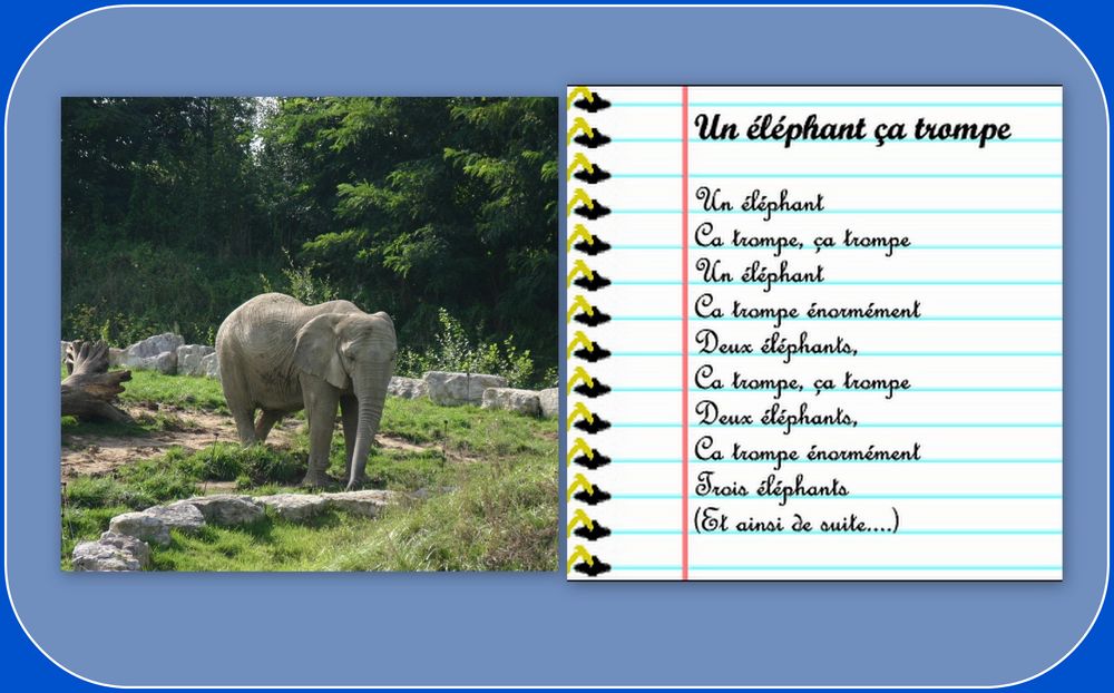 UN ELEPHANT CA TROMPE !!!!!!