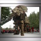 un éléphant dans la ville