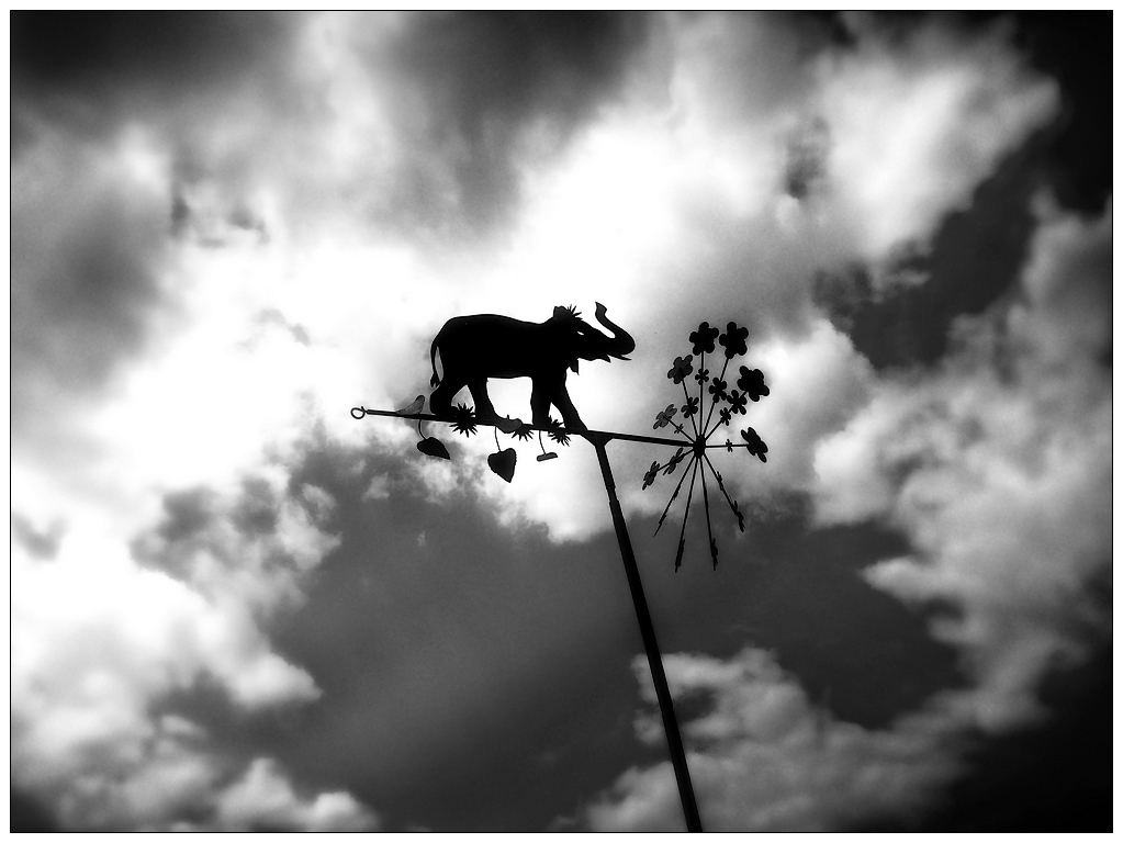 Un éléphant dans les nuages