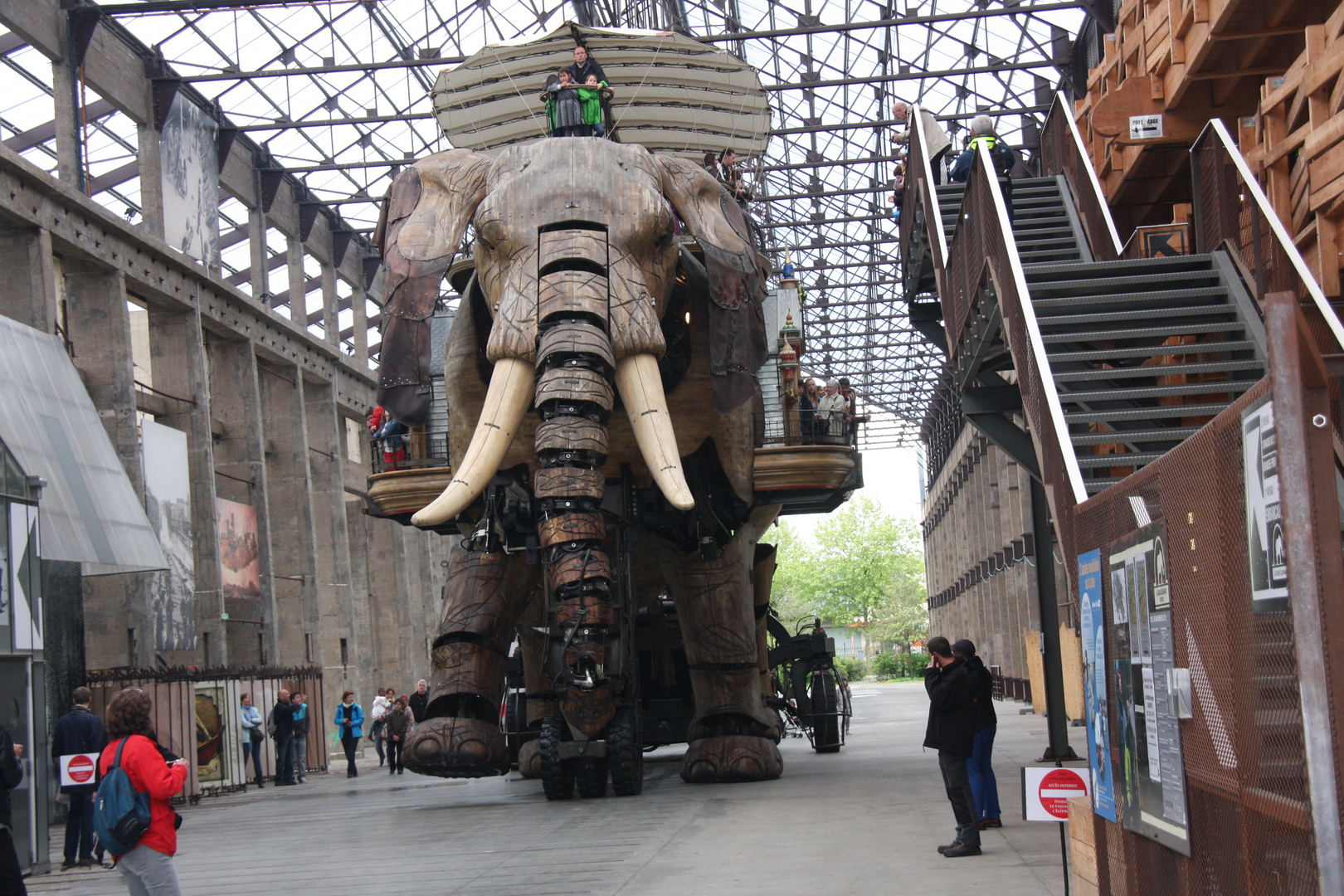 Un éléphant dans une maison de verre