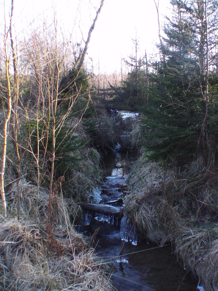 un endroit tres calme berce par l eau