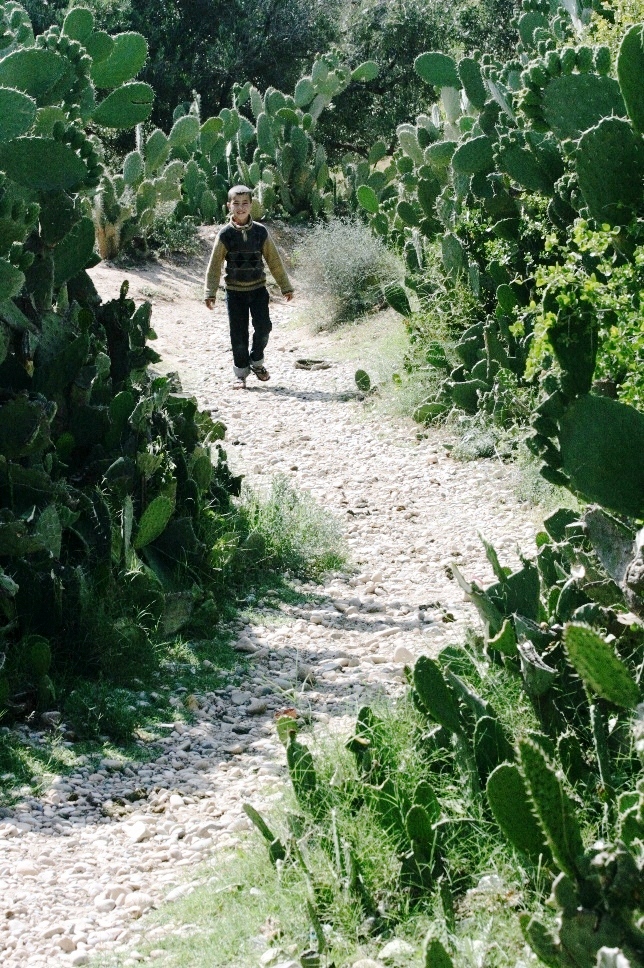 un enfant dans un sentier epineux