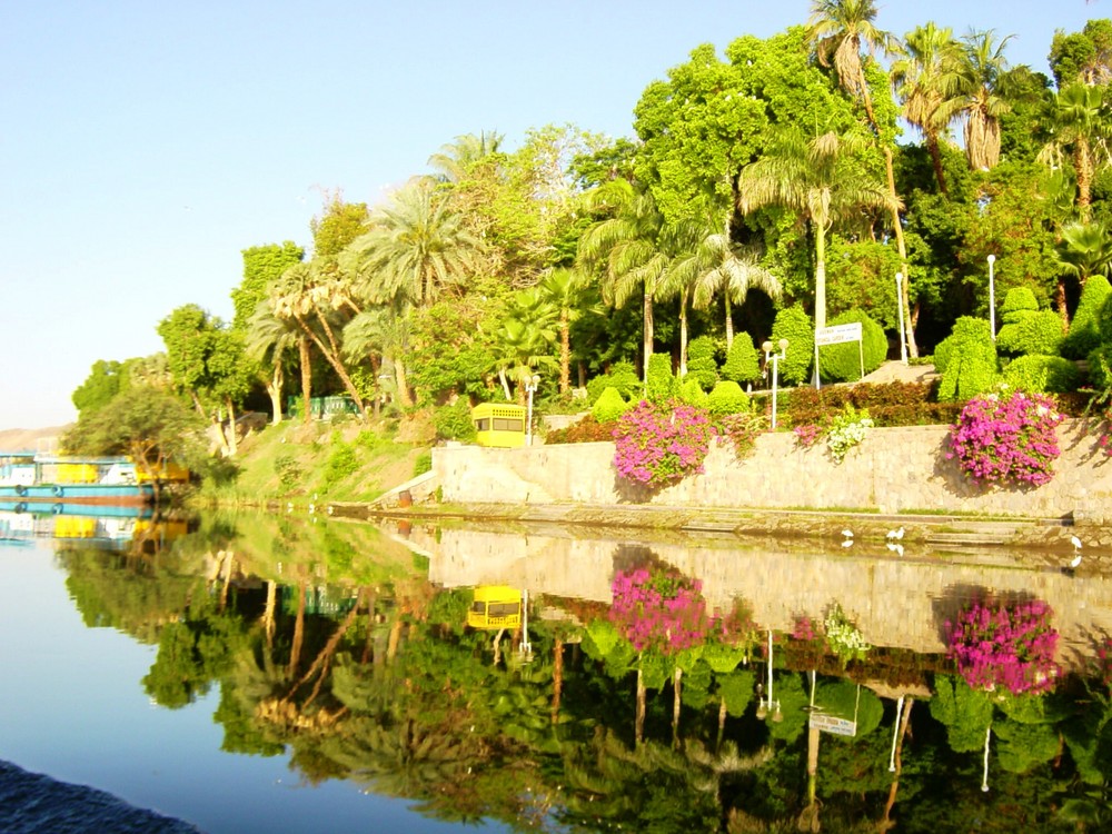 Un espejo milenario Jardin Botanico, Nilo