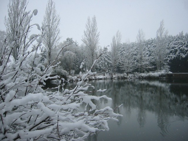 Un étang breton sous la neige...