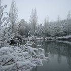 Un étang breton sous la neige...