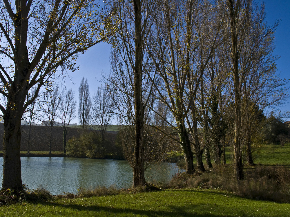 Un étang gersois à l’automne -- Ein Teich von dem Gers im Herbst