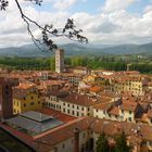 Un été à Lucca (Italie - Toscane)