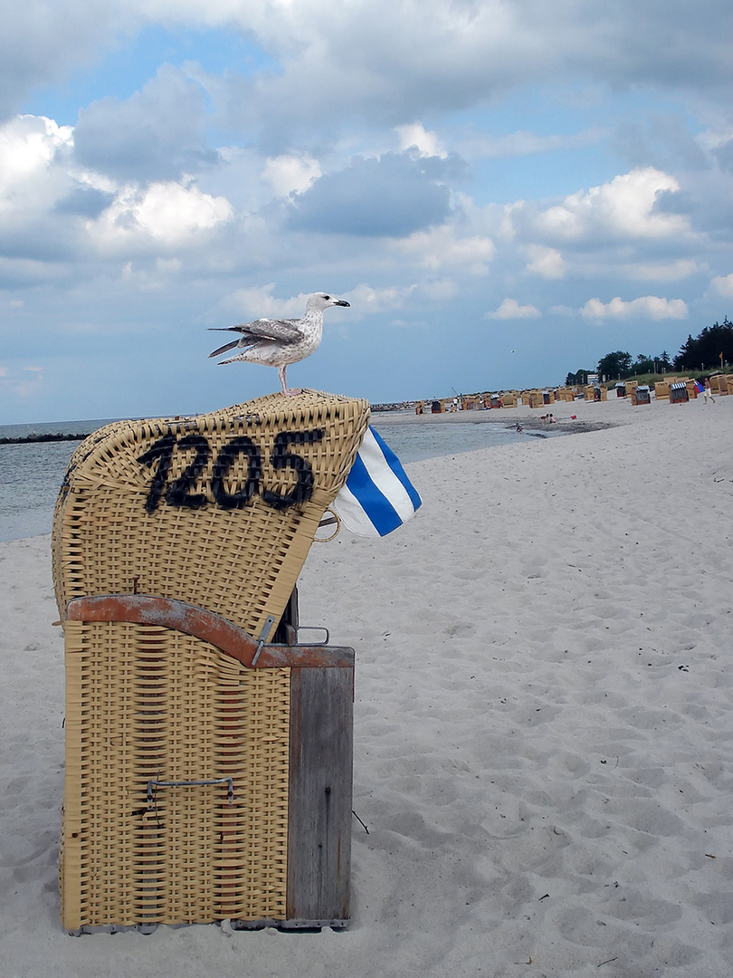 Un "été" au bord de la mer Baltique