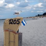 Un "été" au bord de la mer Baltique