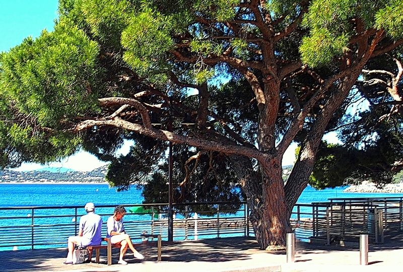 Un été dans le Var........