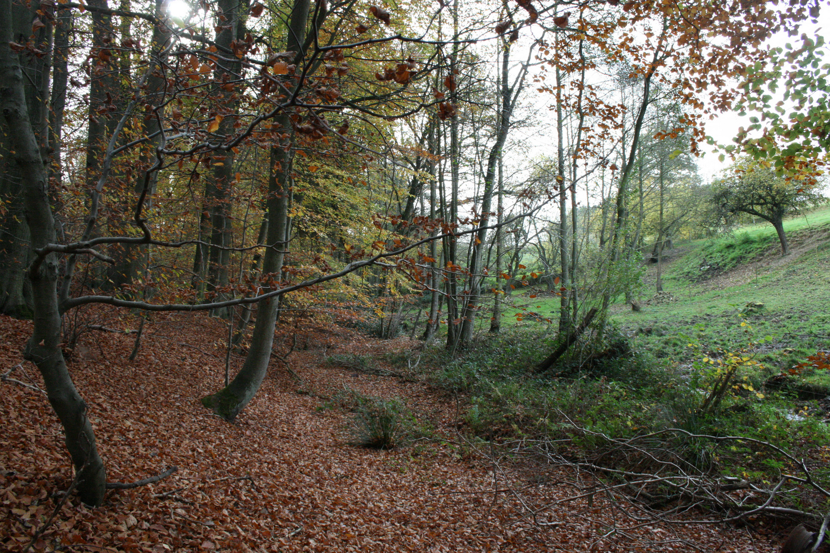 un été en automne