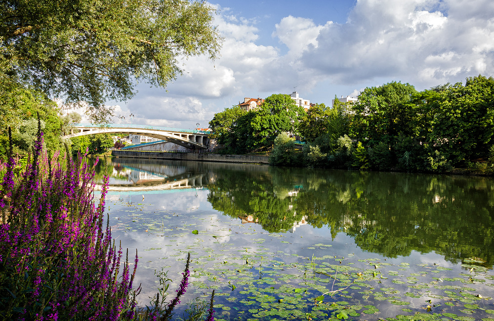 Un été sur la Marne