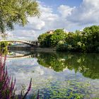 Un été sur la Marne