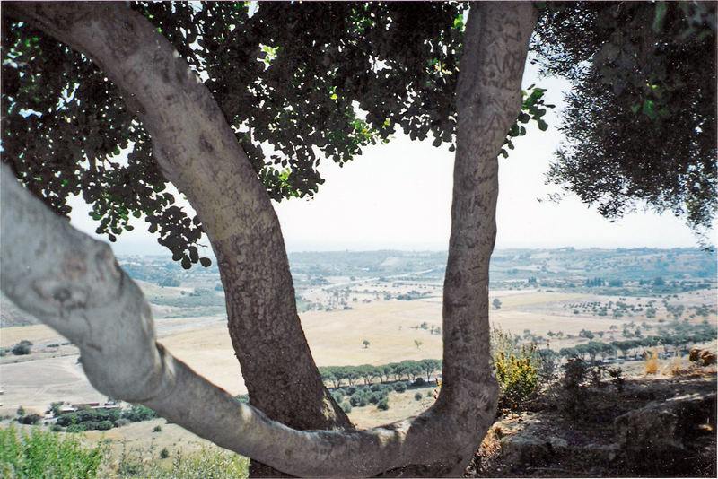 Un fenêtre naturelle... (2004)