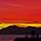 un festival de couleurs à cannes....