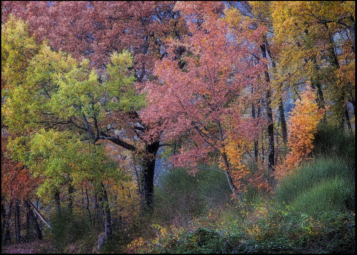 "Un fiabesco Autunno"