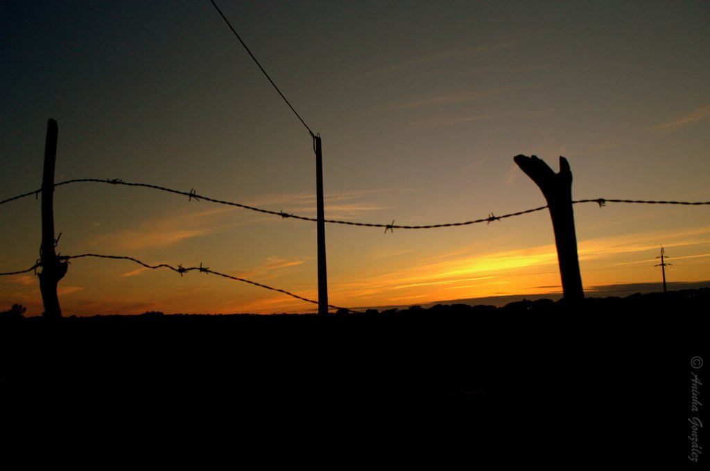 Un fim de tarde de lujo