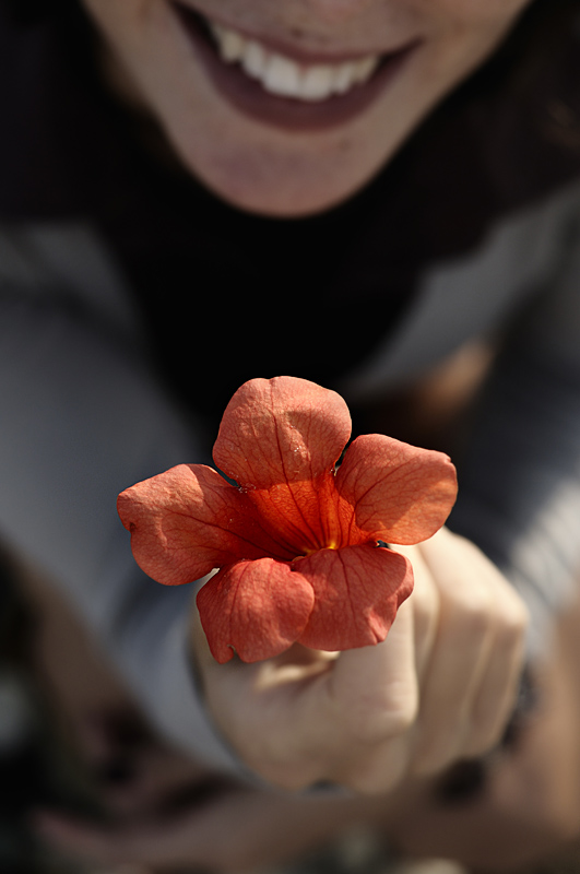 Un fiore per un tuo sorriso