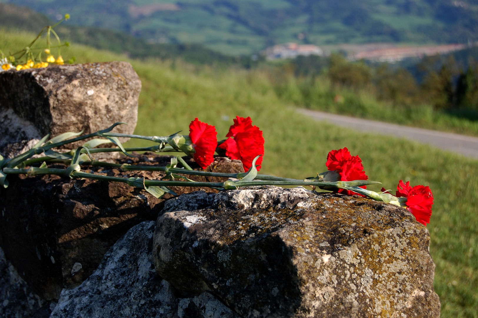 "Un fiore ... un ricordo ..."