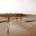 un fiume incontra il mare