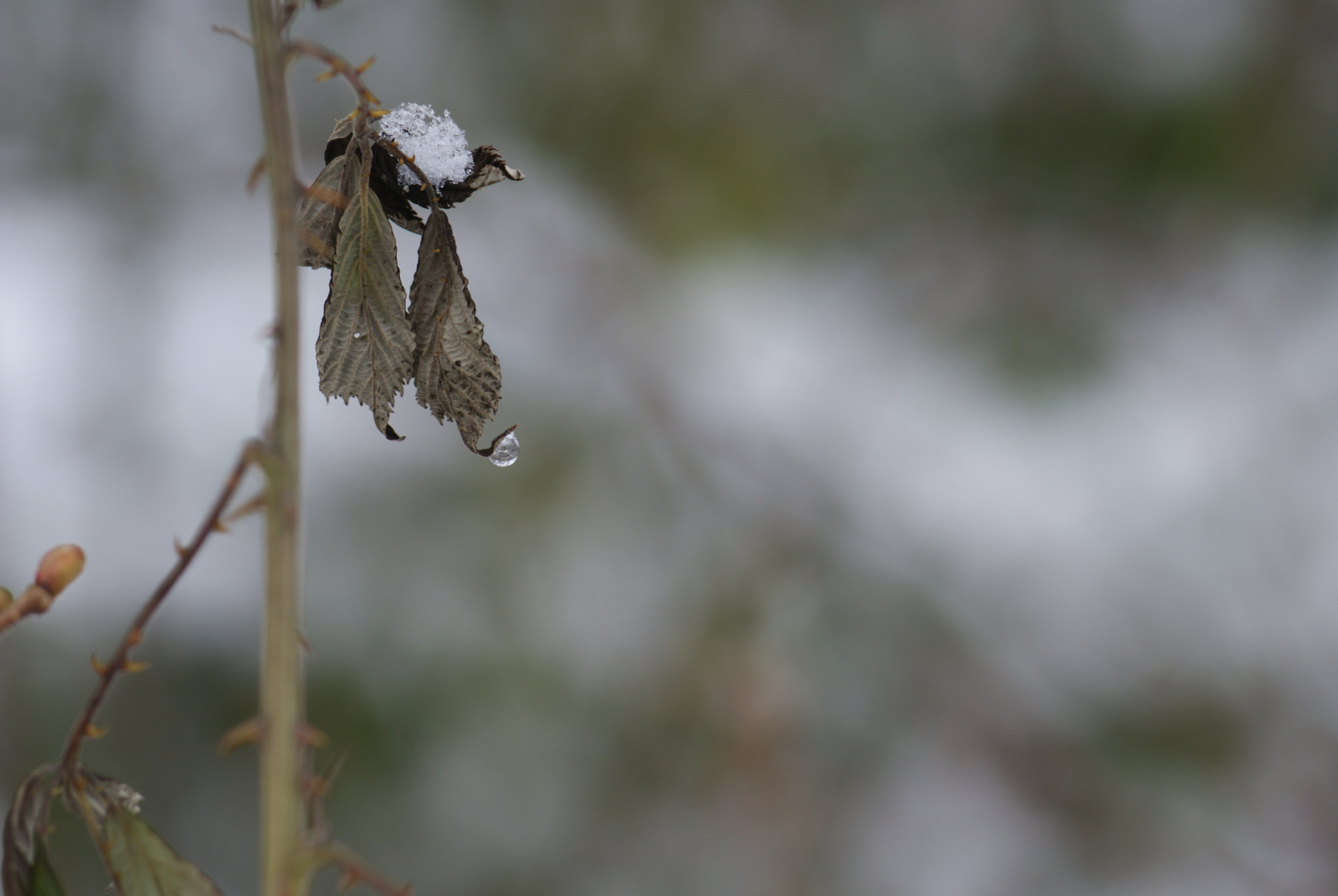 un flocon, une goutte