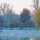 Un froid de canard matinal sur le lac de Mauvezin