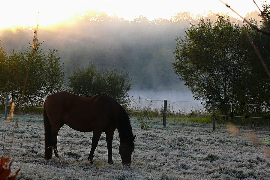 Un froid matin d'automne