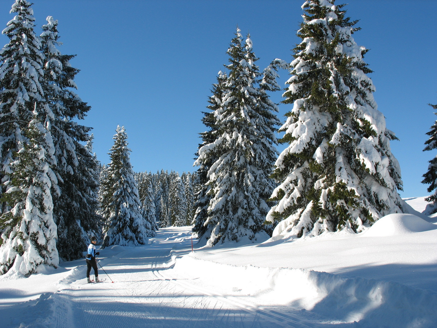 Un giornata sulla neve