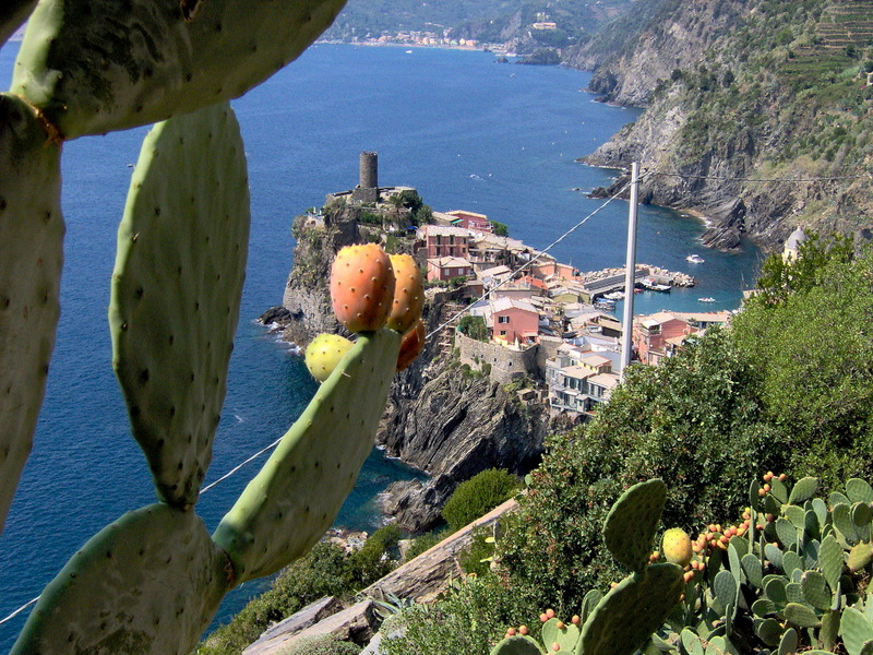 Un Giorno alle cinque terre.Vernazza