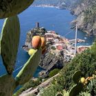 Un Giorno alle cinque terre.Vernazza