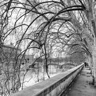 Un giorno...a Roma lungo il Tevere !