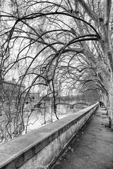 Un giorno...a Roma lungo il Tevere !