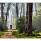 Un giro nel parco